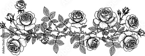 Silver metal rose vines with sharp thorns. Gothic prickly vine elements isolated
