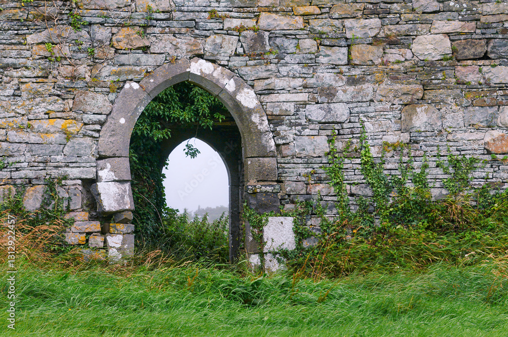 Ancient overgrown abandoned house entrance Ancient overgrown abandoned house entrance