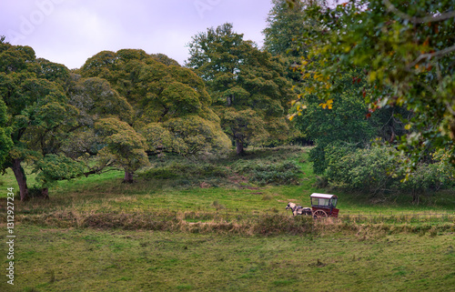 A carriage moving on the old road giving a character of times before transportation revolution photo