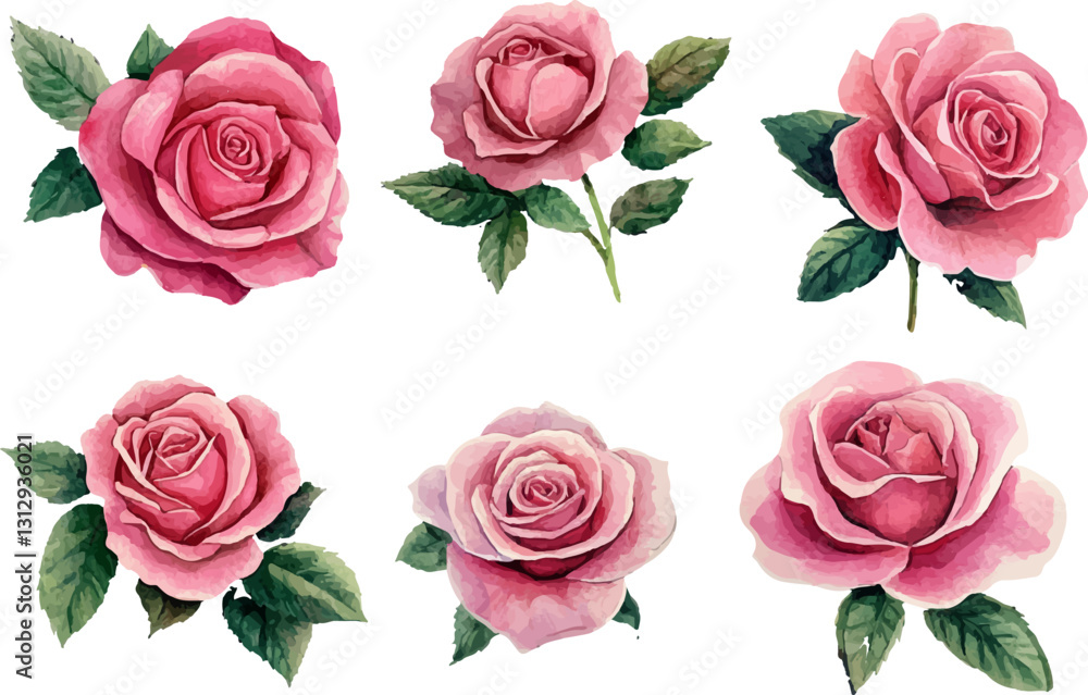 Naklejka premium set of roses isolated on white