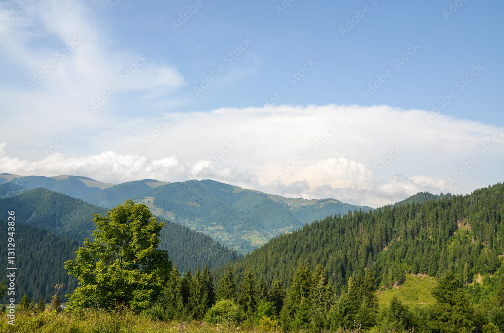 Peaceful mountain scene featuring green forests, rolling hills, and a clear blue sky, perfect for concepts of tranquility and natural beauty. Carpathian Mountains, Ukraine Peaceful mountain scene featuring green forests, rolling hills, and a clear blue sky, perfect for concepts of tranquility and natural beauty. Carpathian Mountains, Ukraine
