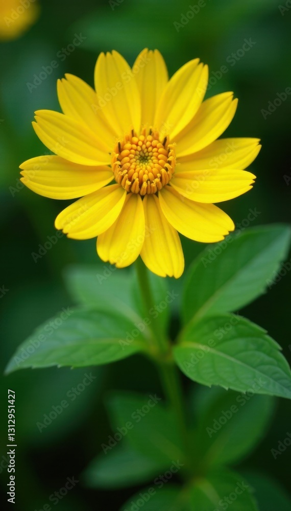 Yellow flower mandala, green leaves, summer energy, decoration, circular Yellow flower mandala, green leaves, summer energy, decoration, circular