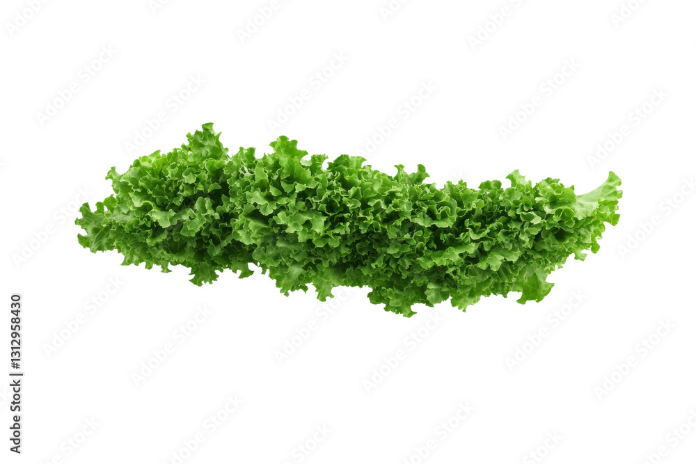 Obraz premium Long green leafy vegetable, isolated