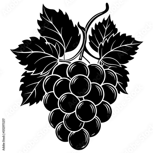 black grapes vector illustration