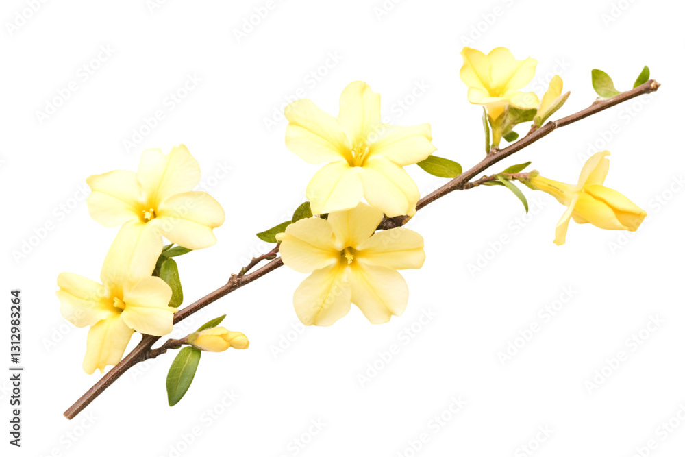 Obraz premium Delicate pale yellow flowers blooming on a branch springtime beauty nature's gentle touch