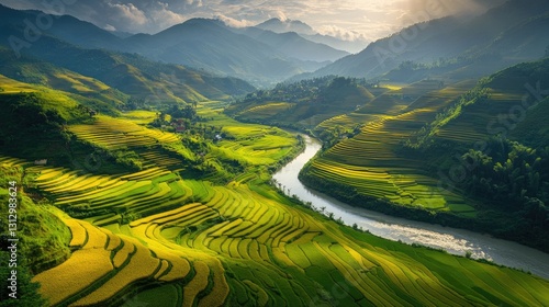 Lush Green Terraced Rice Fields Under Golden Sunlight with River and Mountains in Background
