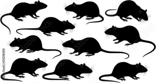 vector set, Silhouettes of rats
