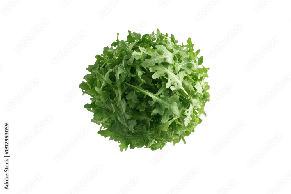Obraz premium Green leafy vegetable with a lot of green leaves, isolated