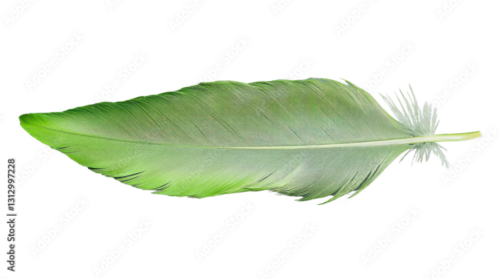 Fototapeta premium Beautiful green feather isolated on transparent background