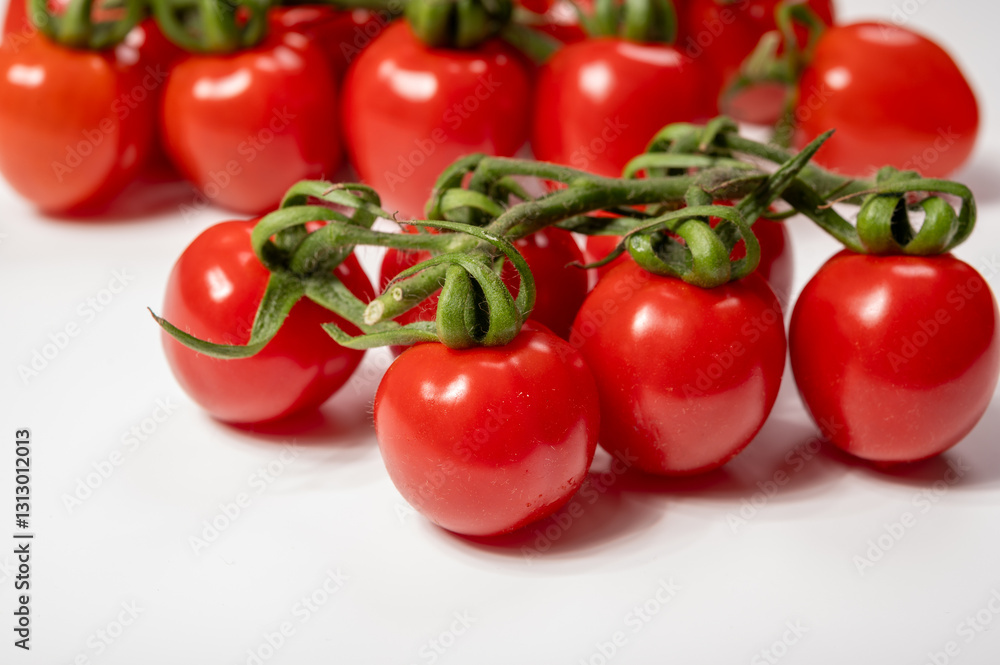 ed sweet ripe tasty Dutch tomatoes growing indoor in greenhouse all seasons, food industry in Netherlands close up ed sweet ripe tasty Dutch tomatoes growing indoor in greenhouse all seasons, food industry in Netherlands close up