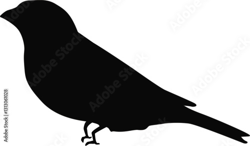 Common Rosefinch Vector Illustration – Colorful Songbird in Nature