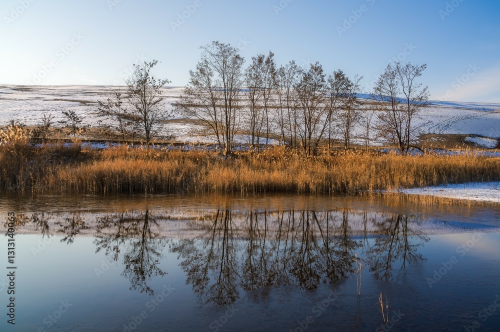Morning reflection of trees and reed in the water. Winter landscape. Morning reflection of trees and reed in the water. Winter landscape.