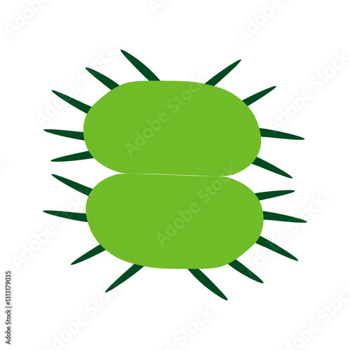 xanthidium