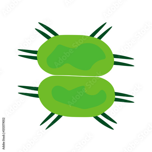 xanthidium