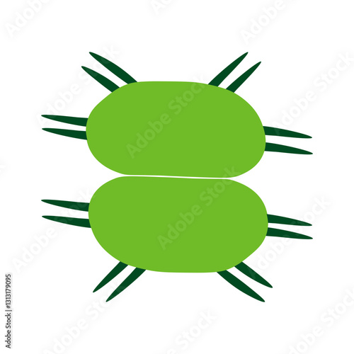 xanthidium

