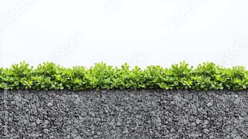 Wallpaper Mural Green Plants Border on Grey Ground Against White Background Torontodigital.ca