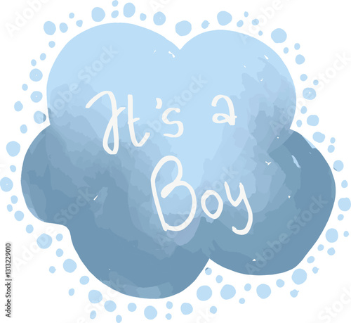 its a boy gender reveal announcement 