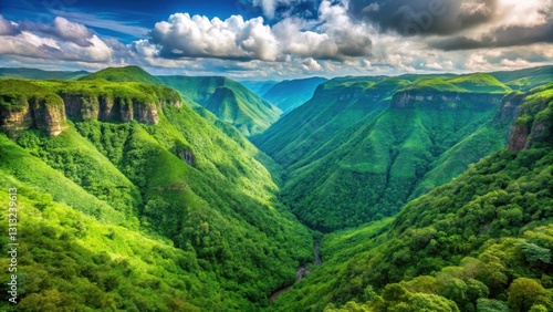 Dense foliage and lush greenery of Cherrapunji's Meghalaya mountains