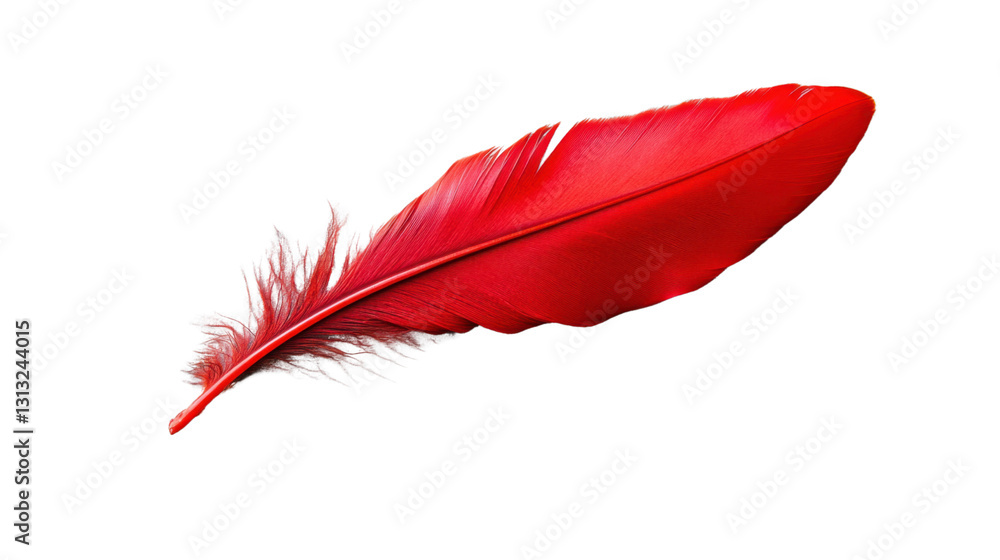 Vibrant red feather isolated on transparent background, ready for design projects Vibrant red feather isolated on transparent background, ready for design projects
