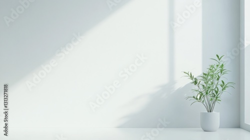Minimalist Room Interior with Sunlight and Plant, Use for Product Photography