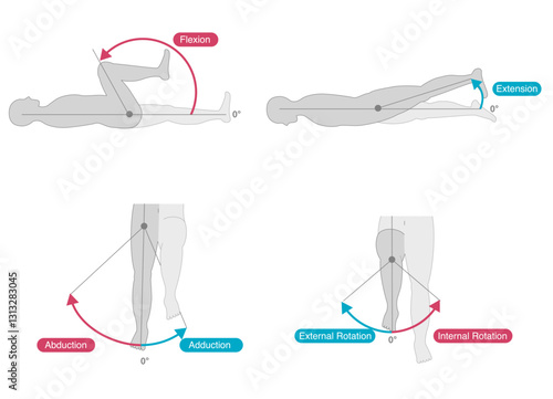 Range of motion of the hip joint  set