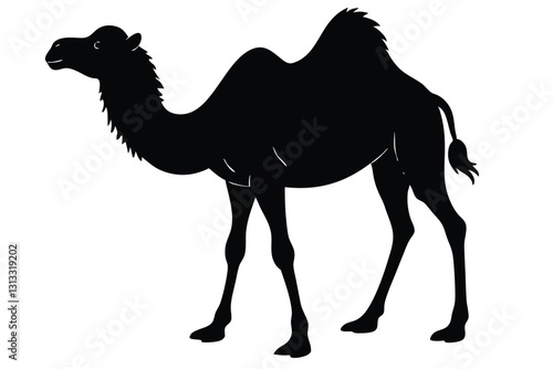 Detailed black silhouette of camel caravan on white background