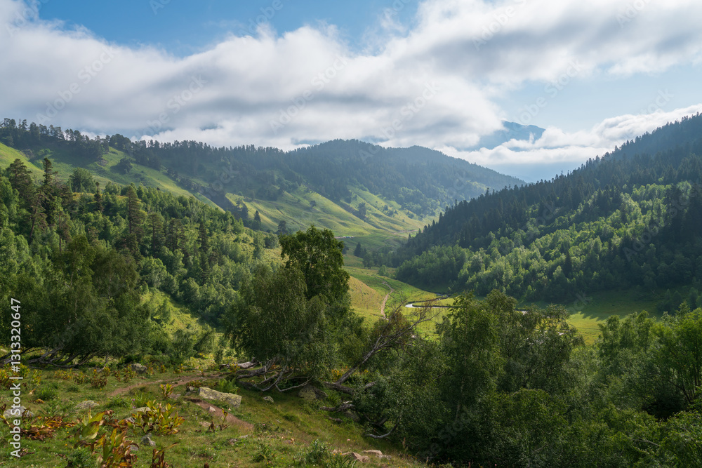 Fototapeta premium The valley of the Malaya Dukka River surrounded by the mountains of the North Caucasus and the tourist trail to the Dukka Lakes on a sunny summer day, Arkhyz, Karachay-Cherkessia, Russia