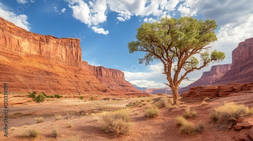 Magnificent scenery can be seen, as if you are in the embrace of nature, cont...