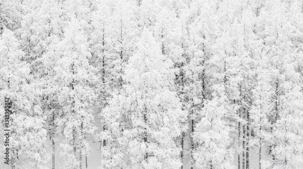 Naklejka premium Snow Covered Winter Landscape Monochrome Texture Background