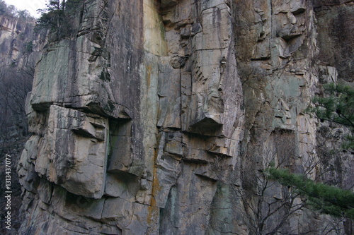 바위, 요약, 나무, 돌, 도안, 여행용가방, 거친, 내추럴, 곡면, 근접, 암석