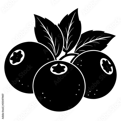 black vector of blueberry illustration