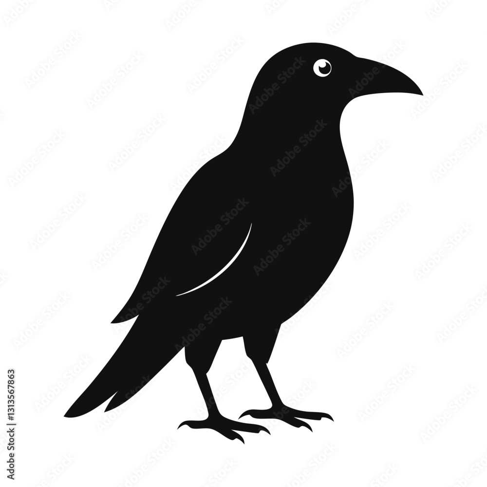 crow on a white background crow on a white background