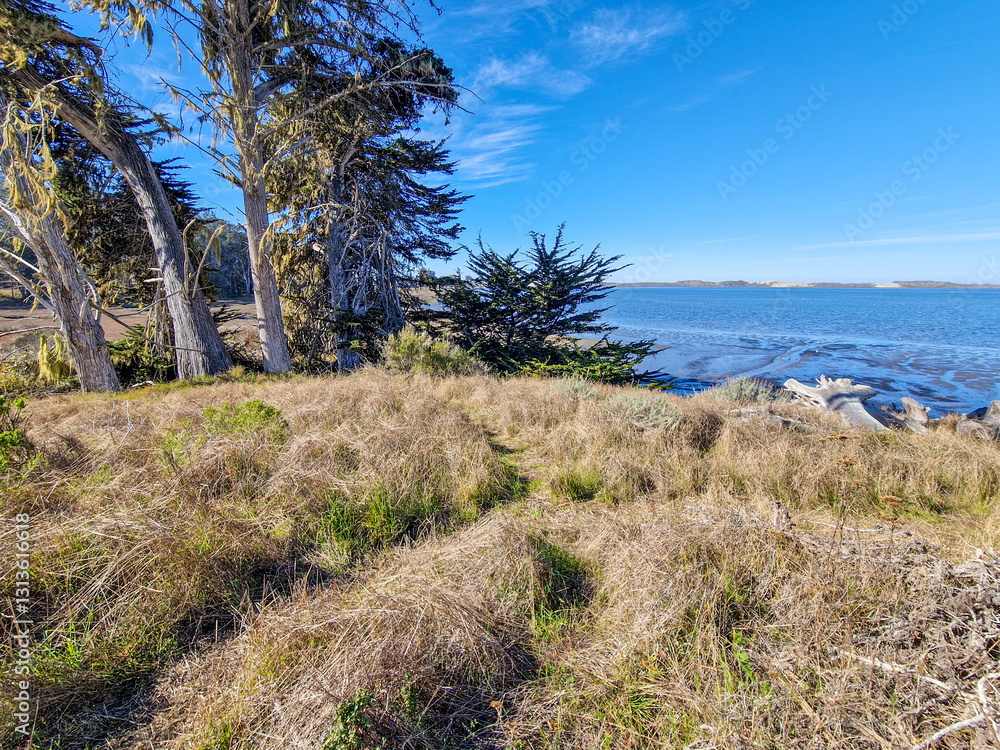 Morro Bay is a city in the United States, in the state of California.