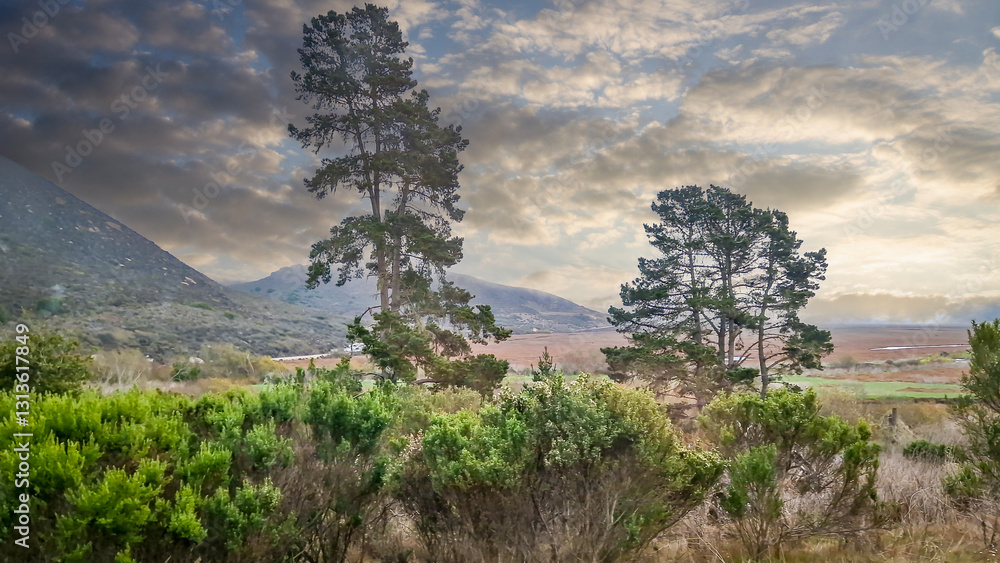Morro Bay is a city in the United States, in the state of California.