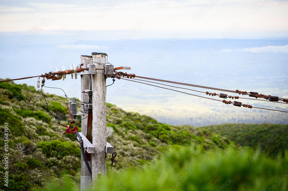 Power cables and post on the mountain side. Manganui Gorge. Taranaki.