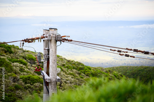 Obraz na płótnie Power cables and post on the mountain side. Manganui Gorge. Taranaki. w salonie