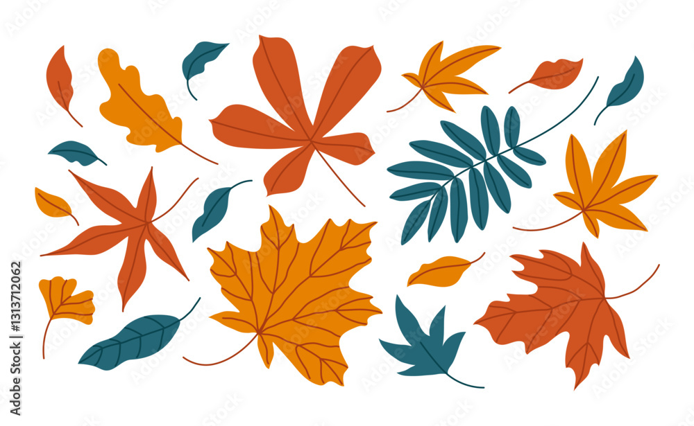 Obraz premium Set of autumn leaves in a variety of shapes and colors, including maple, oak and rowan leaves. Hand drawn vector illustration.