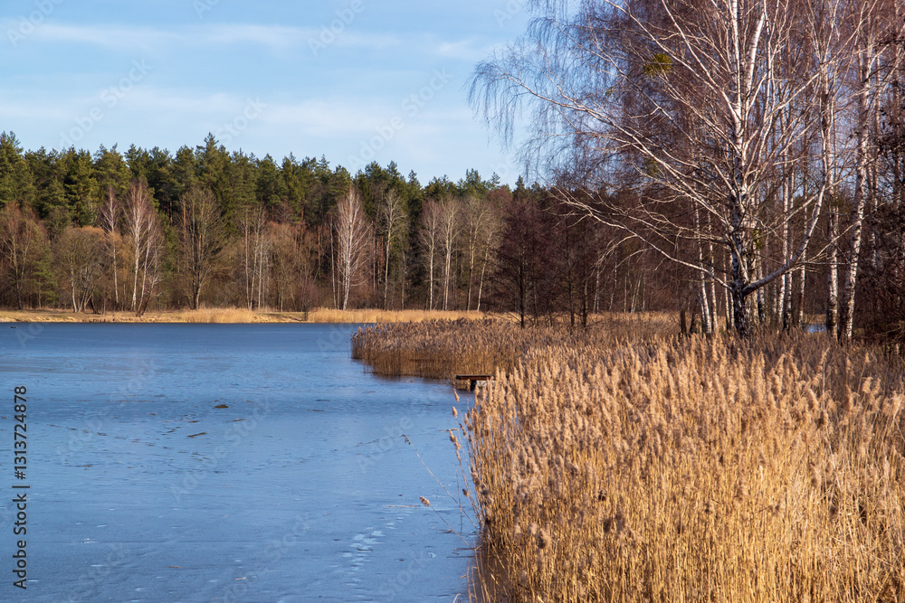 Przedwiośnie nad Zalewem Czapielówka w Puszczy Knyszyńskiej, Podlasie, Polska