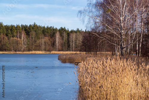 Obraz na płótnie Przedwiośnie nad Zalewem Czapielówka w Puszczy Knyszyńskiej, Podlasie, Polska w salonie