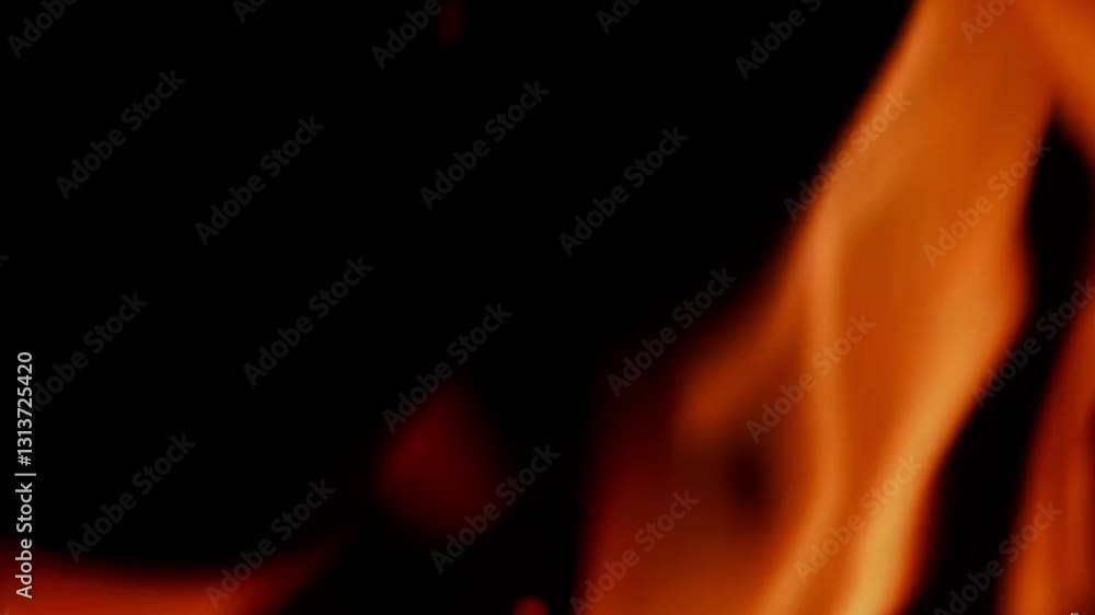 Realistic flames with deep red, orange, and golden hues dancing on a black background. The fire sways naturally, with embers occasionally drifting upward. The glow subtly illuminates the surrounding a Realistic flames with deep red, orange, and golden hues dancing on a black background. The fire sways naturally, with embers occasionally drifting upward. The glow subtly illuminates the surrounding a
