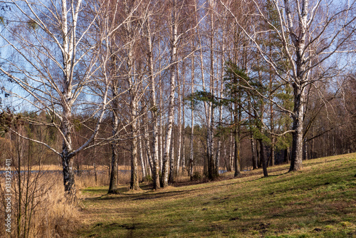 Obraz na płótnie Przedwiośnie nad Zalewem Czapielówka w Puszczy Knyszyńskiej, Podlasie, Polska w salonie