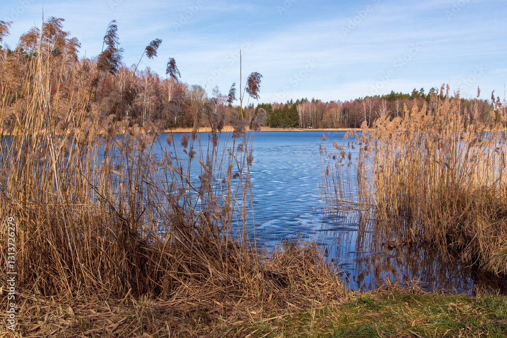 Przedwiośnie nad Zalewem Czapielówka w Puszczy Knyszyńskiej, Podlasie, Polska