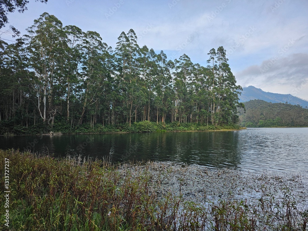 Φωτογραφία View of the Kundala dam or reservoir in Munnar, Idukki, Kerala, India