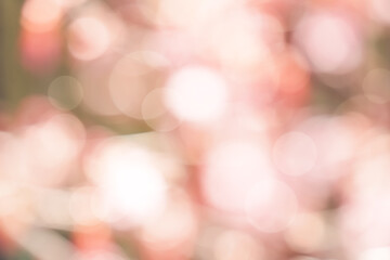 Pink and green Bokeh light background,Abstract background of circle texture pattern, blurry sunlight shining reflection from spring forest,Sweet or Dreamy design for Easter banner,Mother day card