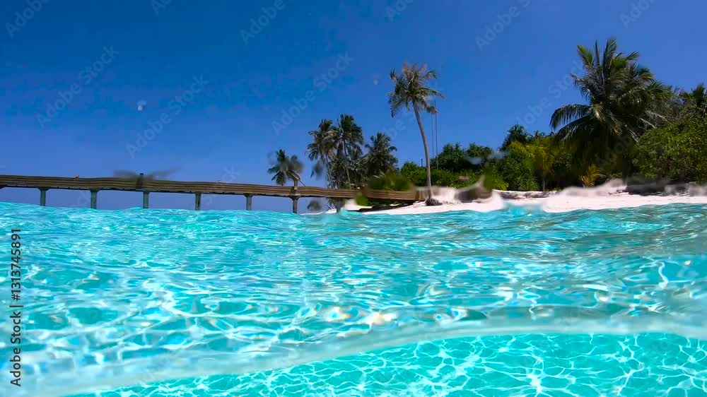 Underwater view of the tropical waters in the Maldives, showcasing clear blue water and sandy beach bordered by palm trees. Underwater view of the tropical waters in the Maldives, showcasing clear blue water and sandy beach bordered by palm trees.