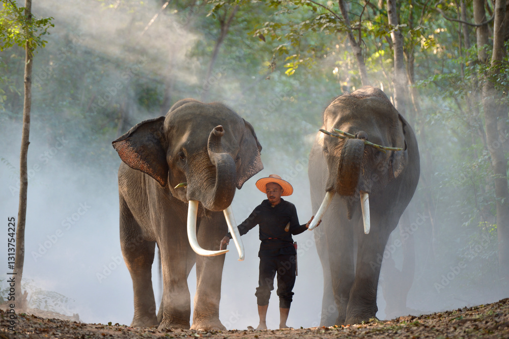 Ταπετσαρία Portrait of Elephant and mahout in the forest