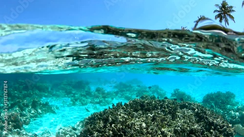 Underwater scene in the Maldives showcasing coral formations against clear turquoise water. Sunlight filters through, creating a serene atmosphere. Location: Maldives.