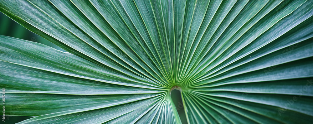 Close-up of a green palm leaf showing its texture and pattern in a botanical garden Close-up of a green palm leaf showing its texture and pattern in a botanical garden