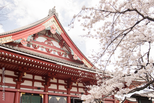 Canvas Print Japanese Traditional Building with Cherry blossoms
