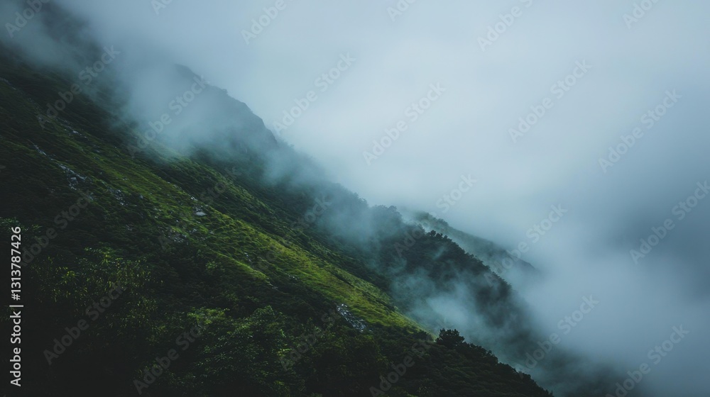 Obraz premium A mountain pass covered in thick mist, creating a mystical atmosphere